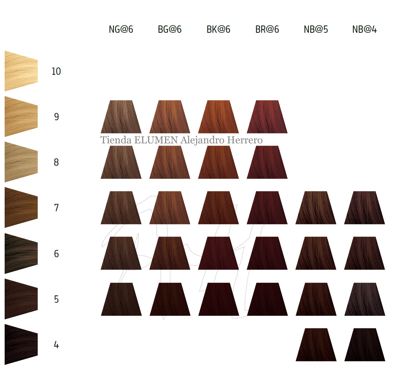 Carta de color ELUMEN WARMS: NG@6, BG@6, BK@6, BR@6, NB@5, NB@4